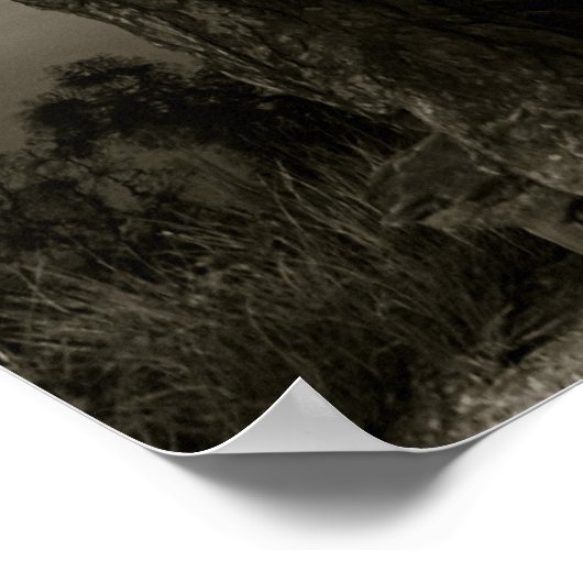 In het park poster (Hoek)