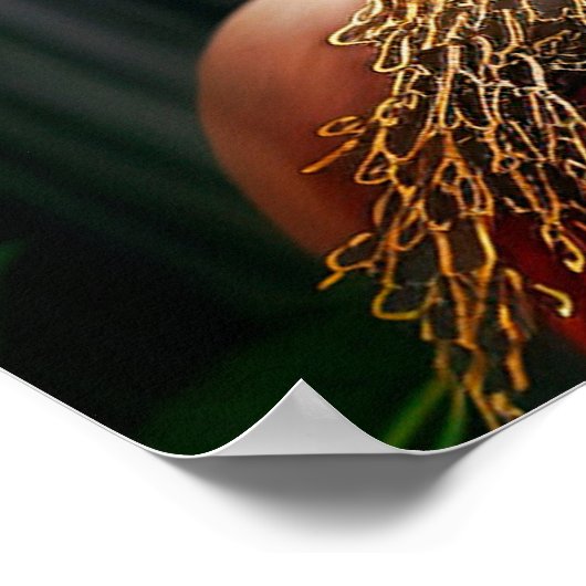 In het Poster Jaqweshia (Hoek)