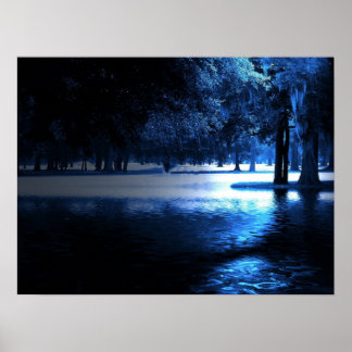 In het Poster Moonlight