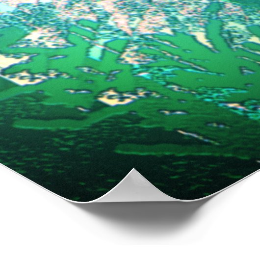 In het Poster Oerwoud (Hoek)