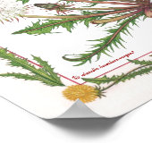 In het Poster van de tuin ~ Dandelion (Hoek)