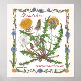 In het Poster van de tuin ~ Dandelion