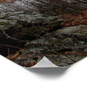 In het Poster van de Winterbosfog (Hoek)