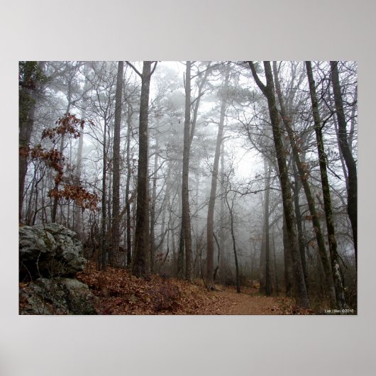 In het Poster van de Winterbosfog (Voorkant)