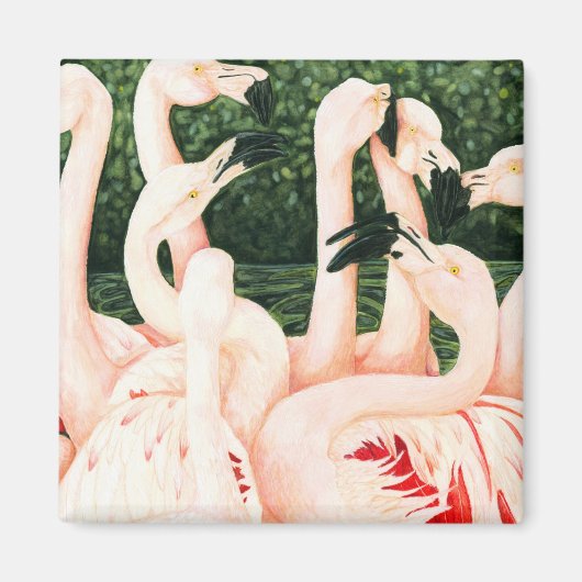 In het roze - Flamingo's Magneet (Voorkant)