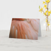 In het Roze Kaart (Gele Bloem)