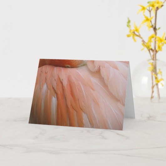 In het Roze Kaart (Gele Bloem)