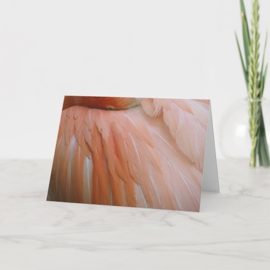 In het Roze Kaart (Voorkant)