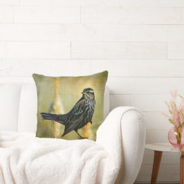 In het Sierkussen met begrenzing