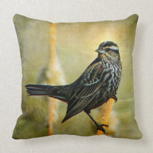 In het Sierkussen met begrenzing