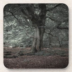 In het sprookjesbos bier onderzetter