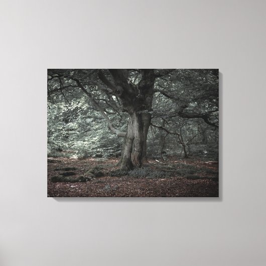 In het sprookjesbos canvas afdruk (Voorkant)