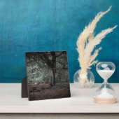 In het sprookjesbos   fotoplaat (Insitu)