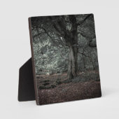 In het sprookjesbos   fotoplaat (Voorkant)