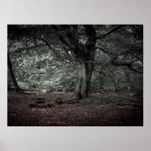 In het sprookjesbos  poster