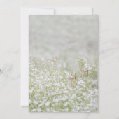 In het Van het Geheugen Eenvoudige Witte Schaduwfo Kaart (Achterkant)