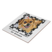 In het Van het Geheugen Geheugenpakket Memorial Fo Tegeltje (Zijkant)