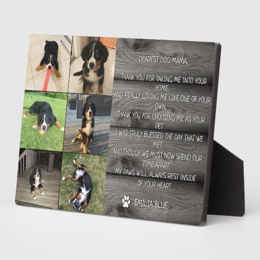 In het Van het Geheugen Geheugenpakket Memorial Qu Fotoplaat (Zijkant)