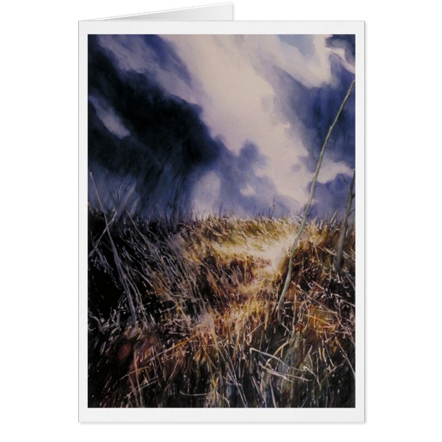 In het veld (Voorkant)