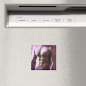 In het venster magneet (Insitu (Vaatwasser))