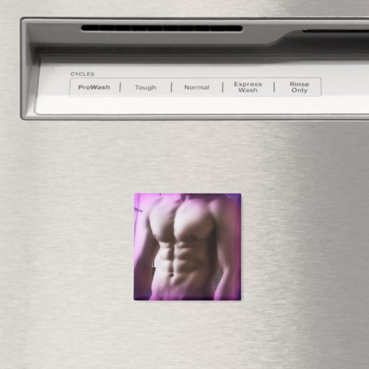 In het venster magneet (Insitu (Vaatwasser))