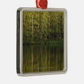 In het water reflecterende bomen metalen ornament (Rechts)