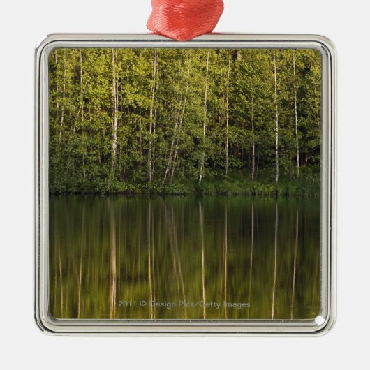 In het water reflecterende bomen metalen ornament (Voorkant)