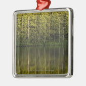 In het water reflecterende bomen metalen ornament (Links)