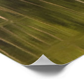 In het water reflecterende bomen poster (Hoek)