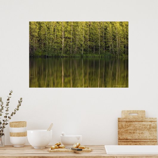 In het water reflecterende bomen poster (Keuken)