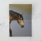 In het Waterhole Wild Horse Wenskaart Kaart (Binnen)
