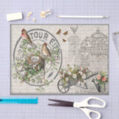 In het weefselpapier van de tuin tissuepapier (Craft)