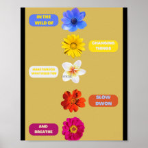 In het wild van het veranderen van dingen. KLEIN