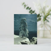 In het wilde noorden, 1891 briefkaart (Staand voorkant)