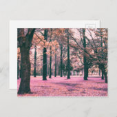 In het Yoyogi Park in Tokio werden bomen gekleurd. Briefkaart (Voorkant / Achterkant)