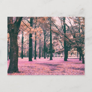 In het Yoyogi Park in Tokio werden bomen gekleurd. Briefkaart