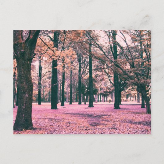 In het Yoyogi Park in Tokio werden bomen gekleurd. Briefkaart (Voorkant)