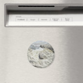 In het zand van de tijd Magnet (Insitu (Vaatwasser))