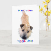 In hondenjaren ben je 350 kaart (Gele Bloem)