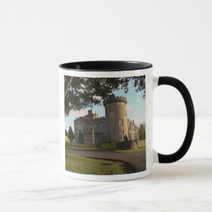 In Ierland, de zij-ingang van Dromoland Castle Mok