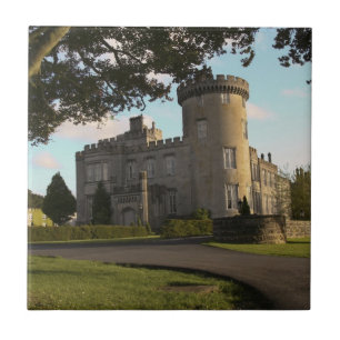 In Ierland, de zij-ingang van Dromoland Castle Tegeltje