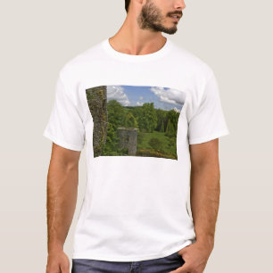 In Ierland, in Kasteel Blarney een stenen toren in T-shirt