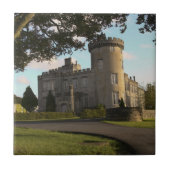 In Ierland is de ingang van het Dromoland Castle Tegeltje (Voorkant)