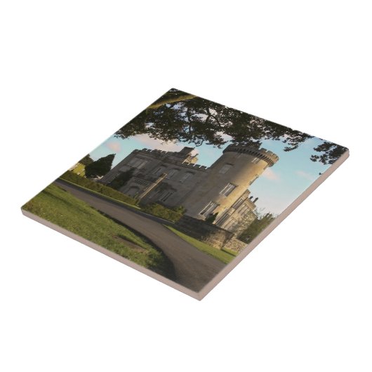 In Ierland is de ingang van het Dromoland Castle Tegeltje (Zijkant)