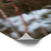 in januari poster (Hoek)