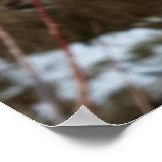 in januari poster (Hoek)