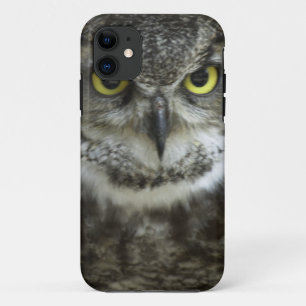 In je gezicht Owl Case-Mate iPhone Case
