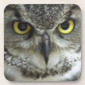 In je gezicht Owl Onderzetter (Voorkant)