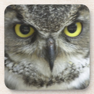 In je gezicht Owl Onderzetter