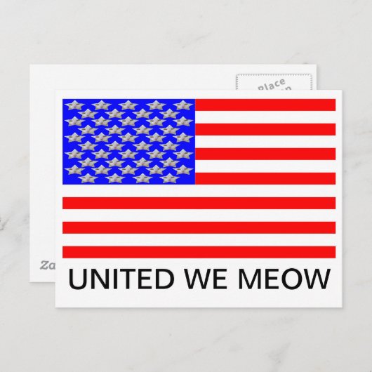 In katten vertrouwen we briefkaart (Voorkant / Achterkant)